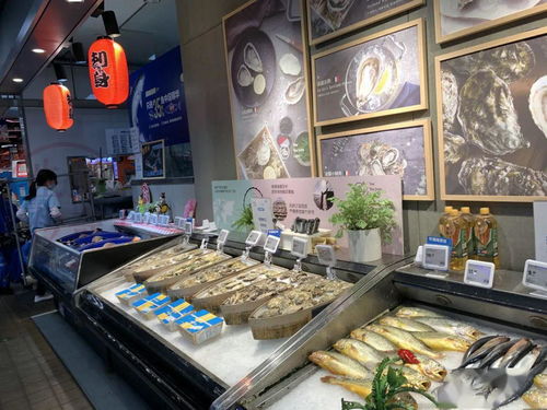 盒馬鮮生日用品區最新陳列賞析 創新布局與精致視覺的完美融合