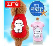 上海市閔行區(qū) 探索“大白寵物”現(xiàn)象——從內(nèi)衣內(nèi)褲看都市養(yǎng)寵新風(fēng)尚