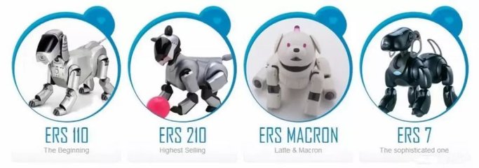 “人不如狗”？當(dāng)寵物市場(chǎng)超越婚介市場(chǎng)，我們?cè)撊绾慰创楦邢M(fèi)的變遷