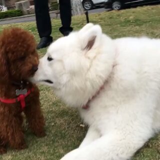 牙膏里加芥末？看“卜陛卜陛”如何用創意詮釋生活情趣